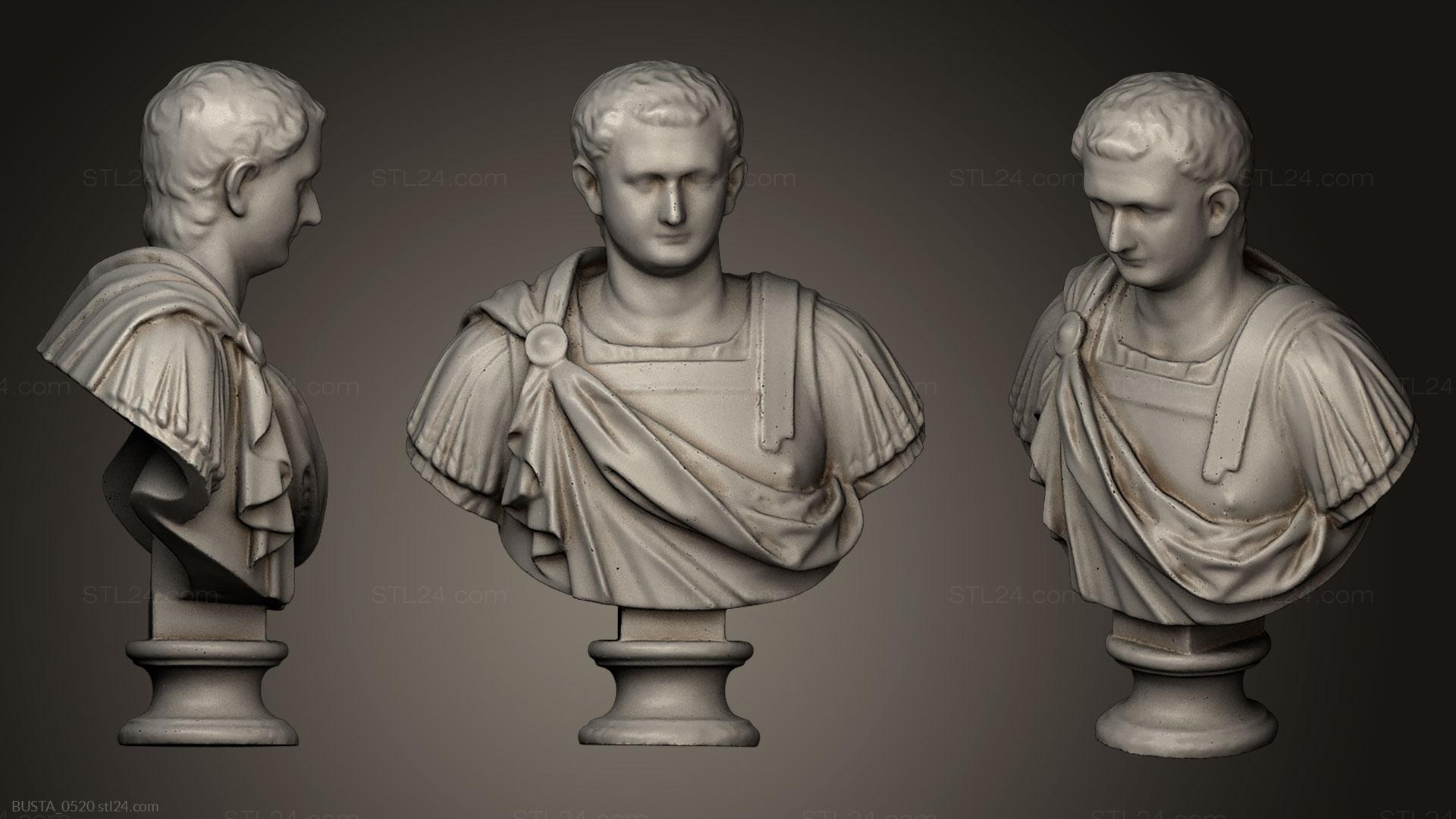 Бюсты и головы античные и исторические (Титус, BUSTA_0520) 3D модель для ЧПУ станка